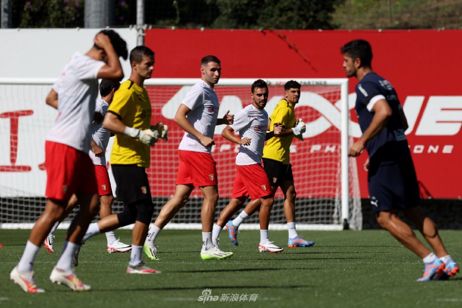 从整体实力 从整体实力